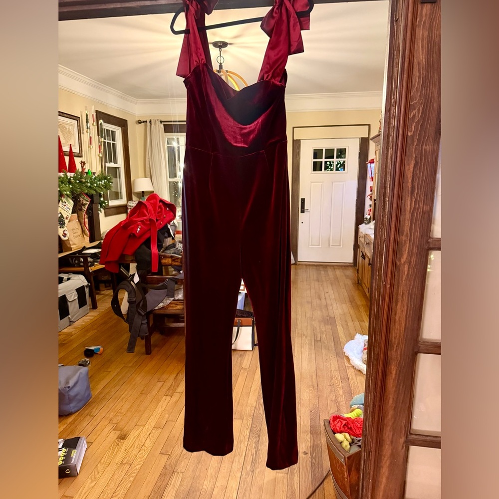Vicinity Burgundy Velvet Jumpsuit